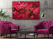 Obraz Rozkvitnutá vetvička